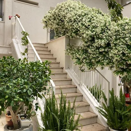 Bed and Breakfast Meraki Λέτσε