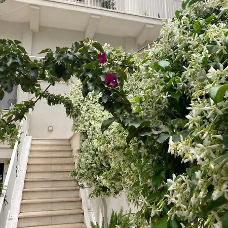 Bed and Breakfast Meraki