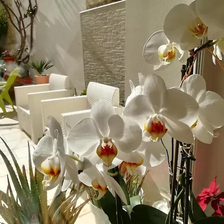 Bed & Breakfast Meraki *