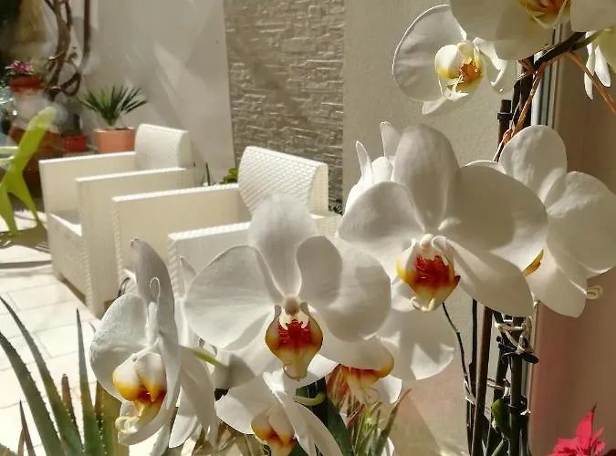 Bed & Breakfast Meraki 3*