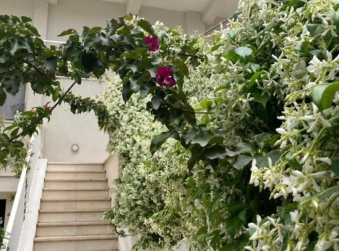 Bed & Breakfast Meraki